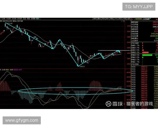 重庆排球队与北京排球队赛后复盘分析比赛节奏与战术执行的关键因素
